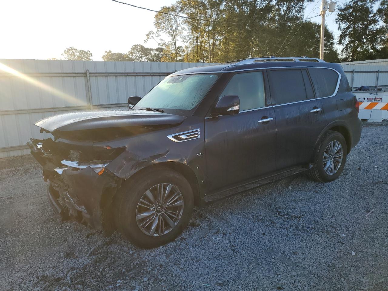 2019 Infiniti QX80 VIN JN8AZ2NE0K9233731
