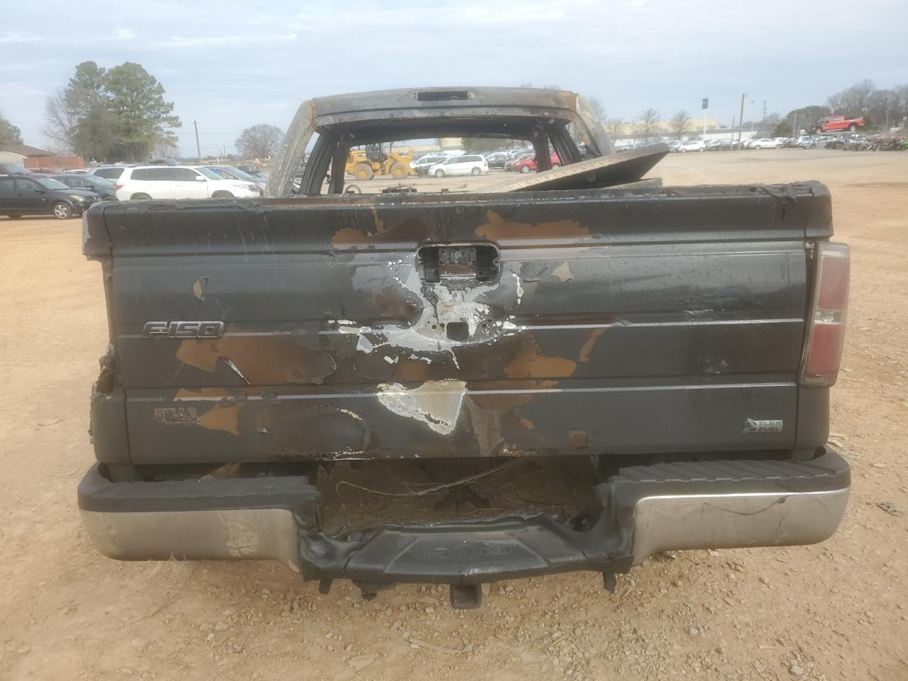 2010 Ford F-150 VIN 1FTFW1EVXAFD30732 Copart auction photo, burn damage thumbnail 6