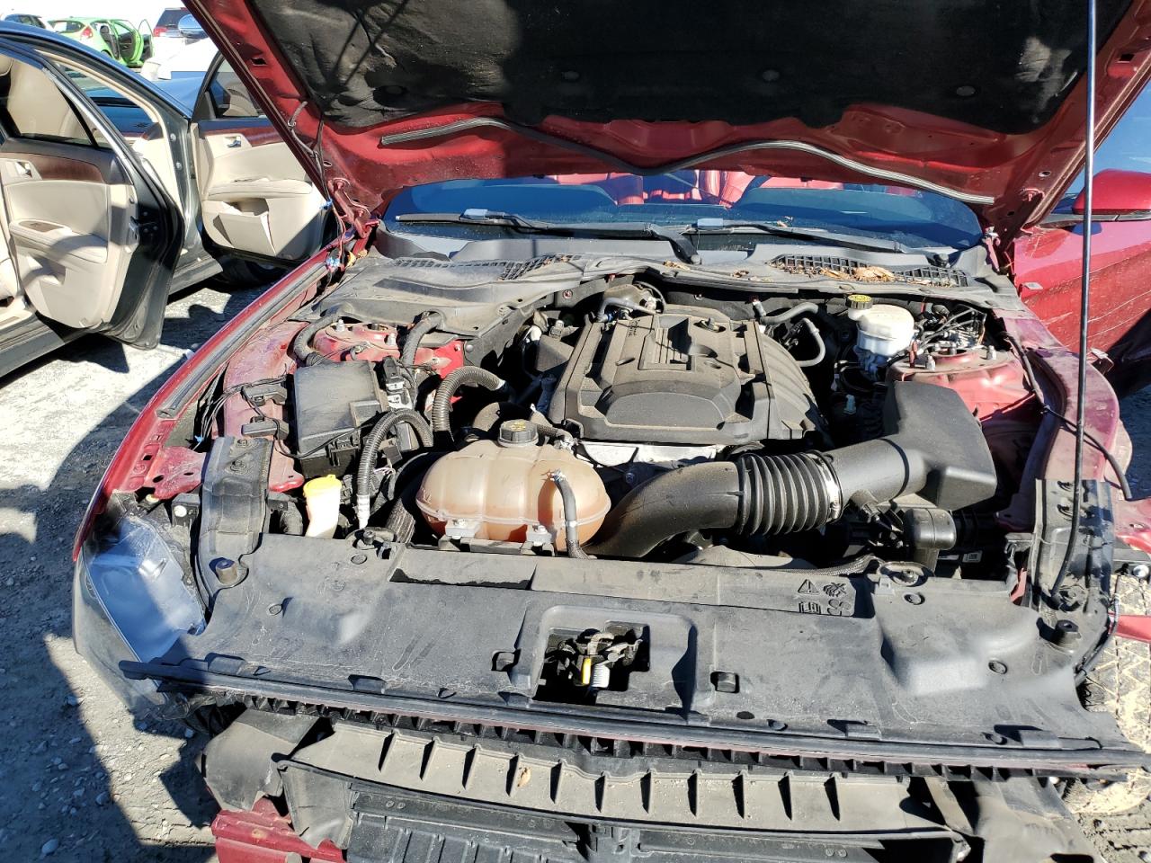 2019 Ford Mustang VIN 1FA6P8THXK5188608 Copart auction photo, front end damage thumbnail 11