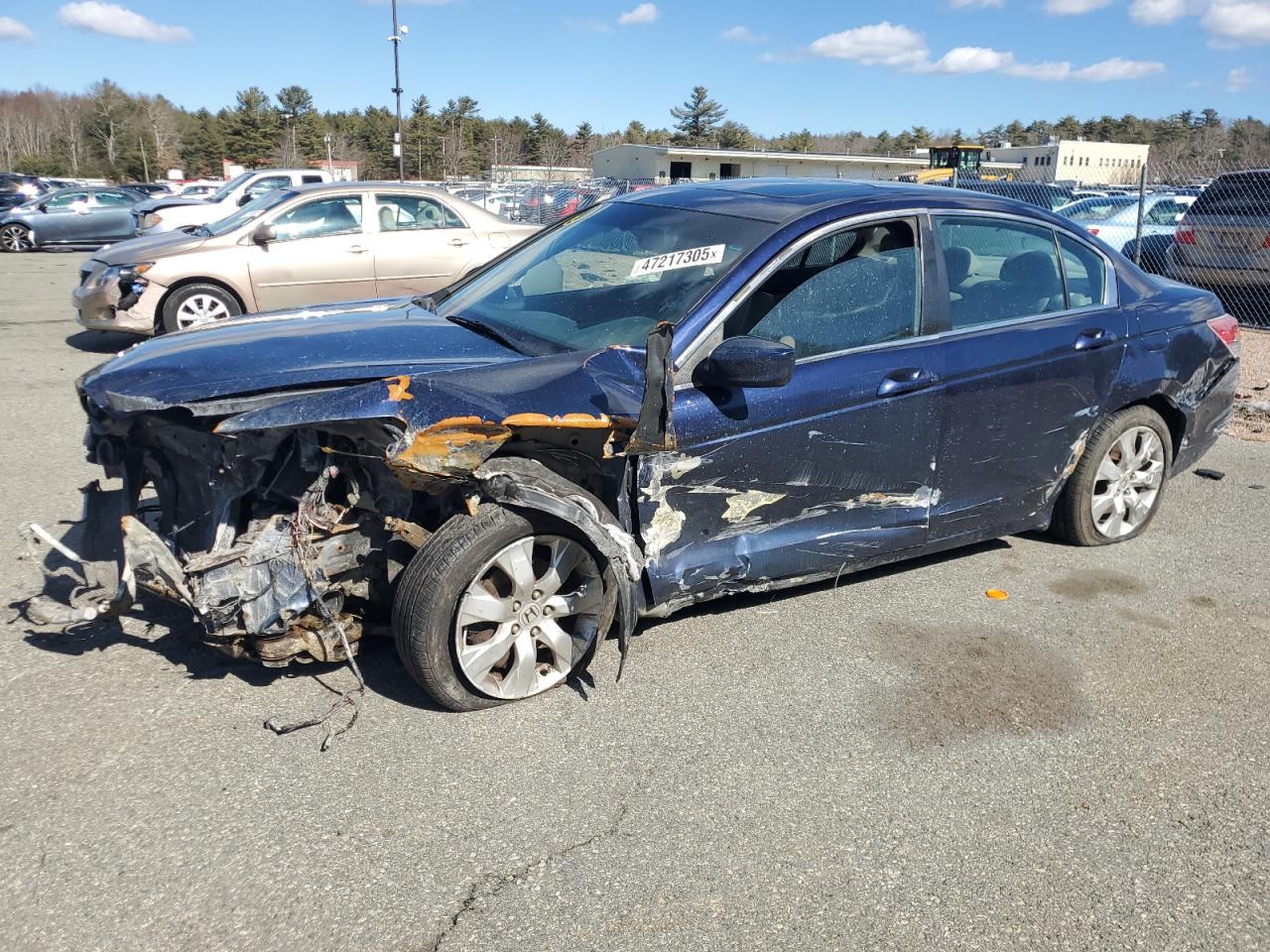 2010 Honda Accord VIN 1HGCP2F80AA172804
