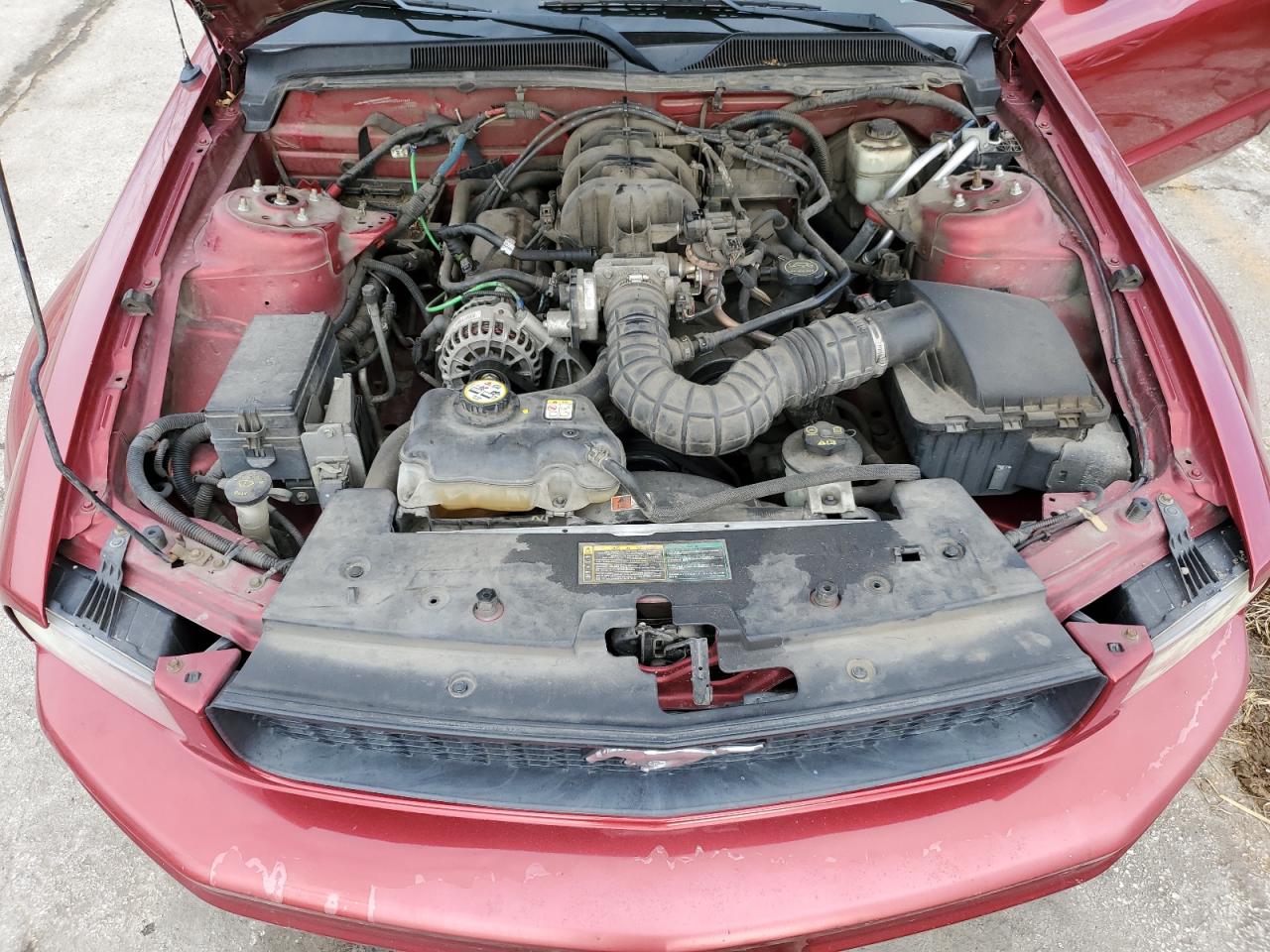 2006 Ford Mustang VIN 1ZVHT80N965265156 Copart auction photo, side damage thumbnail 11