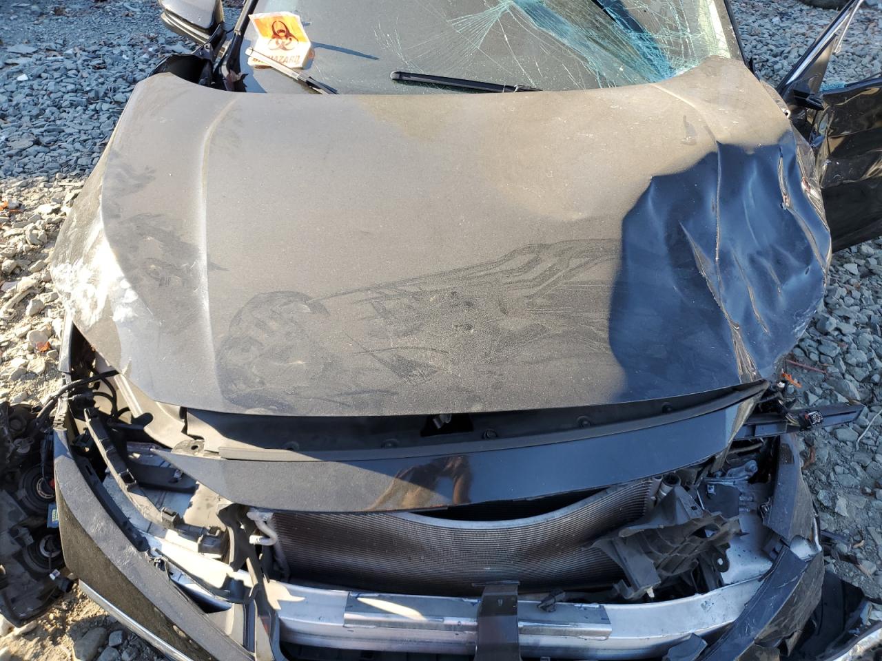 2021 Honda Civic VIN 19XFC1F38ME013066 Copart auction photo, all over damage thumbnail 12