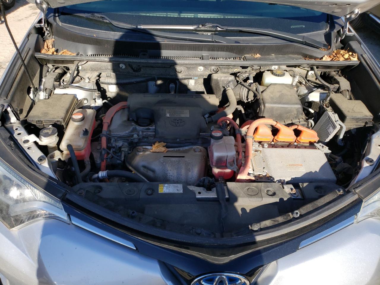 2016 Toyota RAV 4 VIN JTMRJREV5GD002245 Copart auction photo, rear end damage thumbnail 11