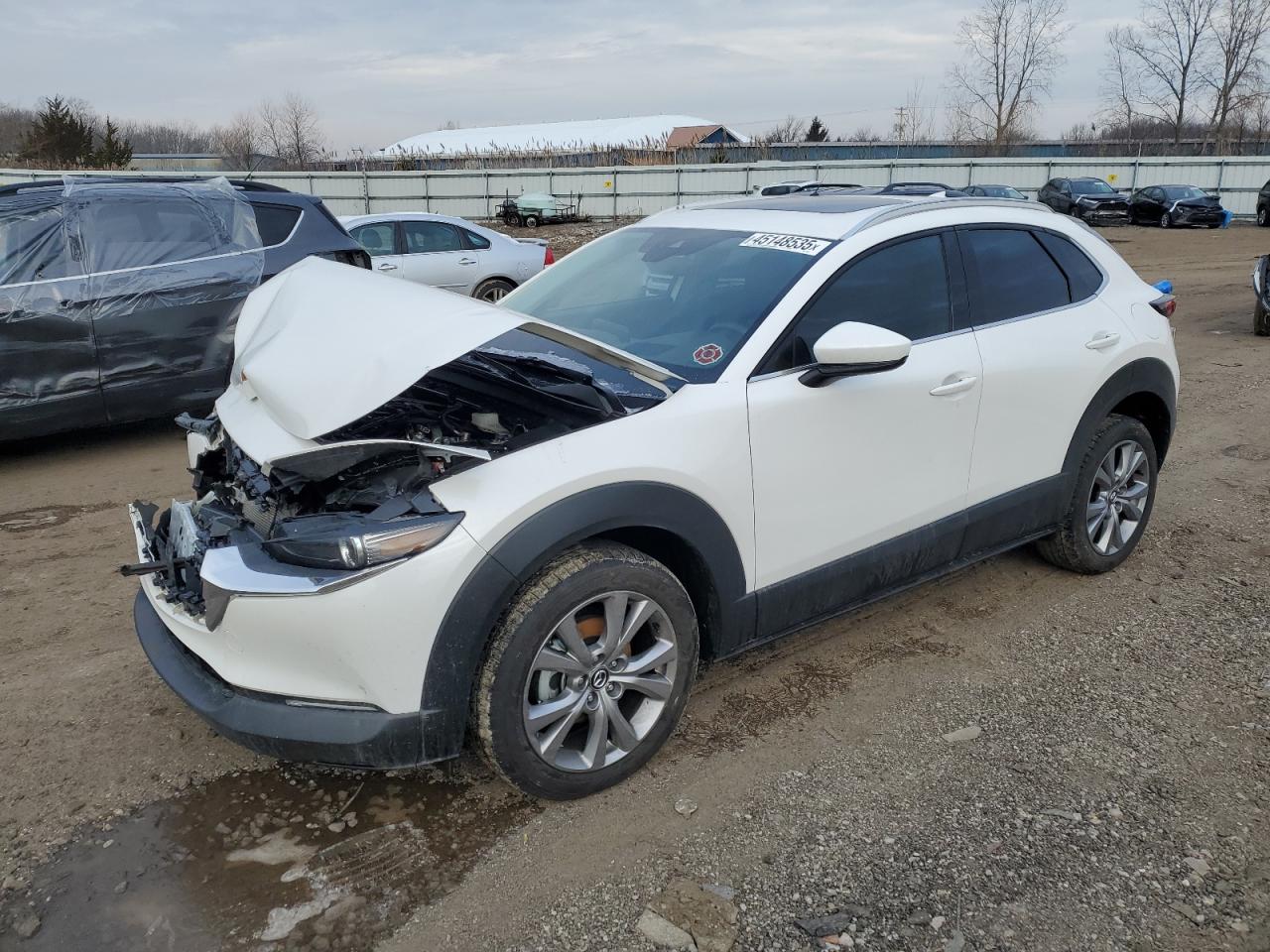 2020 Mazda CX-30 VIN 3MVDMBEMXLM109661
