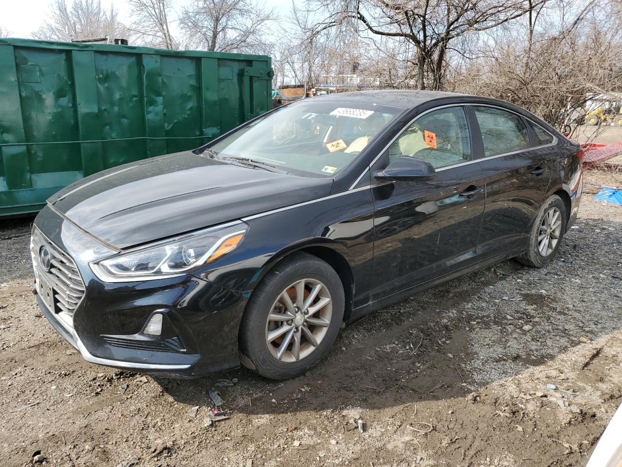2019 Hyundai Sonata VIN 5NPE24AF6KH771093