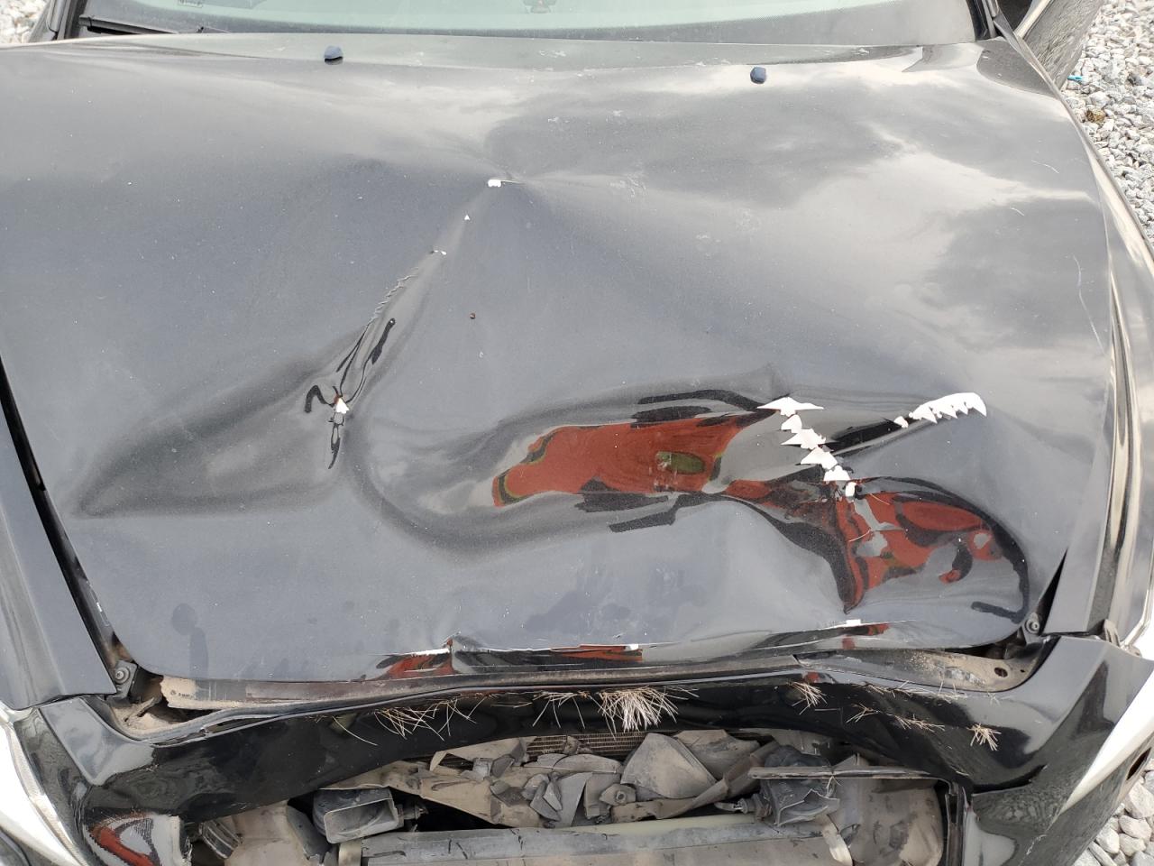 2012 Volvo C70 VIN YV1672MC9CJ125125 Copart auction photo, front end damage thumbnail 13