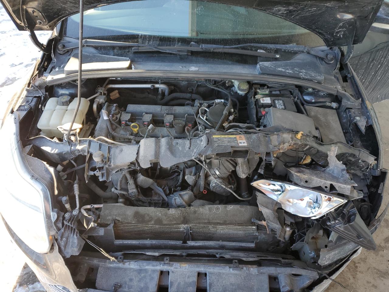 2014 Ford Focus VIN 1FADP3K26EL262999 Copart auction photo, front end damage thumbnail 12