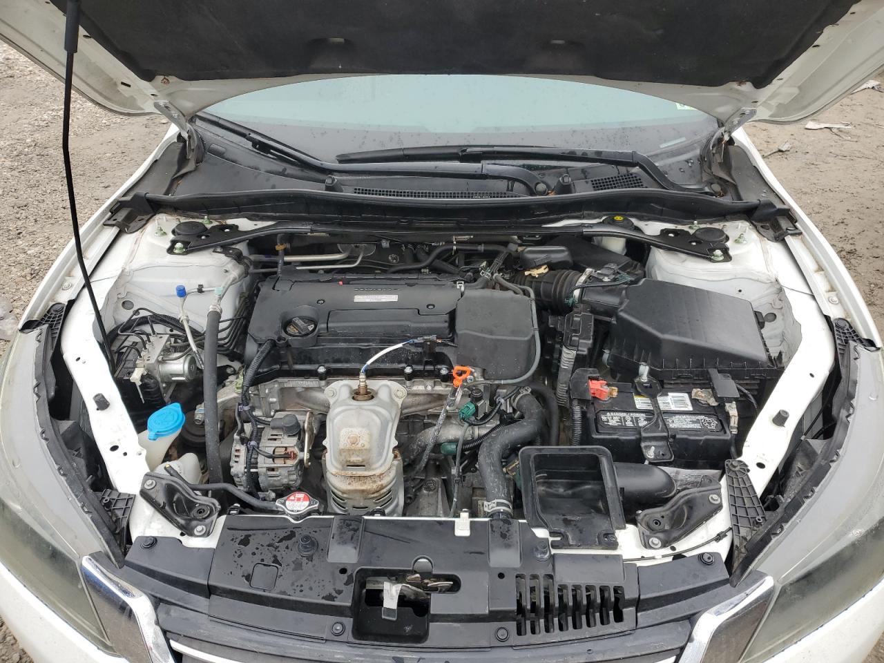 2017 Honda Accord VIN 1HGCR2F13HA146141 Copart auction photo, rear end damage thumbnail 11