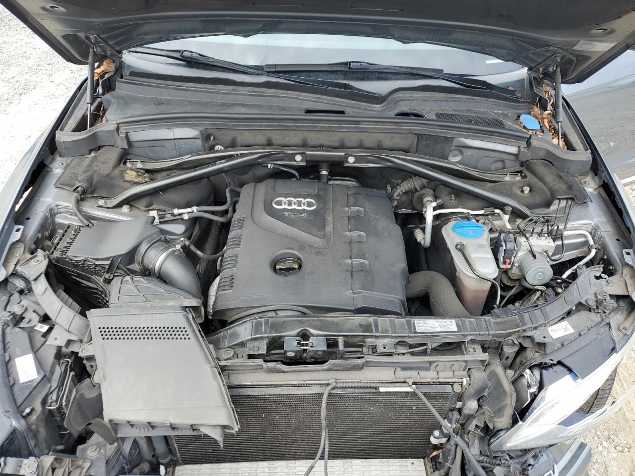 2014 Audi Q5 VIN WA1LFAFP2EA065725 Copart auction photo, front end / minor dent/scratches damage thumbnail 13