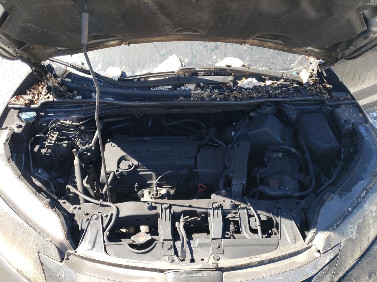 2016 Honda CR-V VIN 5J6RM3H70GL023487 Copart auction photo, burn damage thumbnail 12