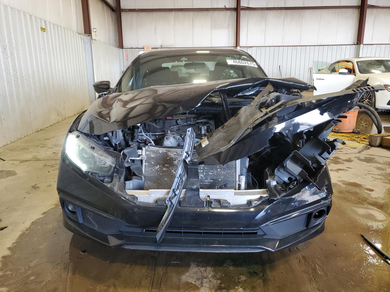 2019 Honda Civic VIN 2HGFC2F81KH529550 Copart auction photo, front end / side damage thumbnail 5