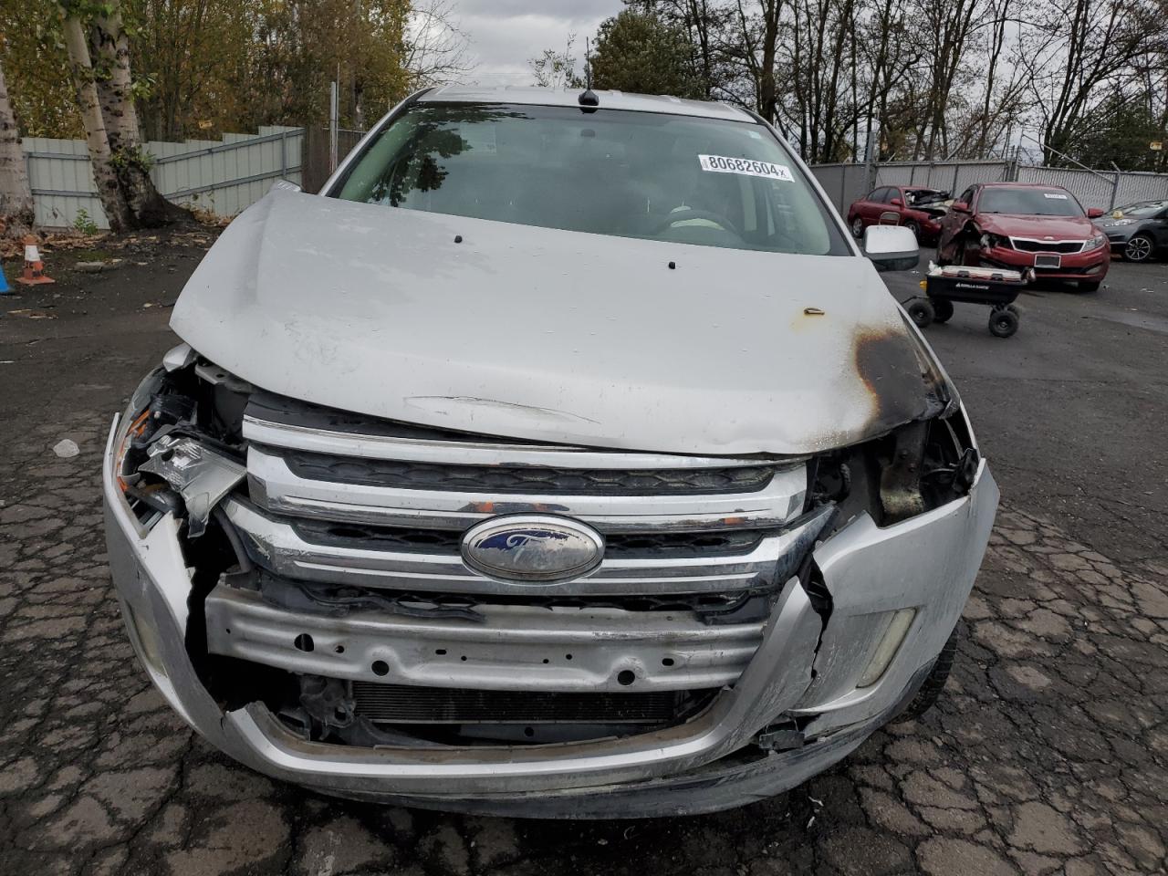 2013 Ford Edge VIN 2FMDK4JC9DBB65542 Copart auction photo, front end / burn damage thumbnail 5