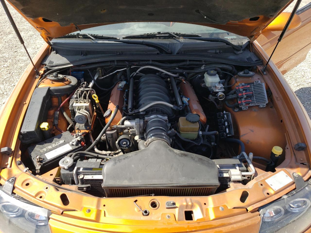 2006 Pontiac GTO VIN 6G2VX12U76L521089 Copart auction photo, undercarriage damage thumbnail 11