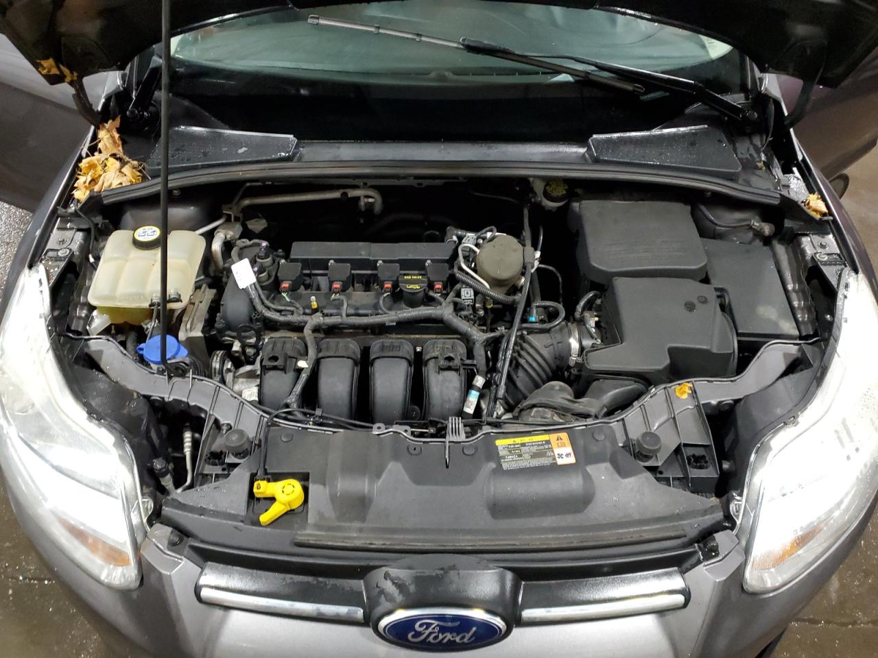 2013 Ford Focus VIN 1FADP3F29DL220870 Copart auction photo, rear end damage thumbnail 12