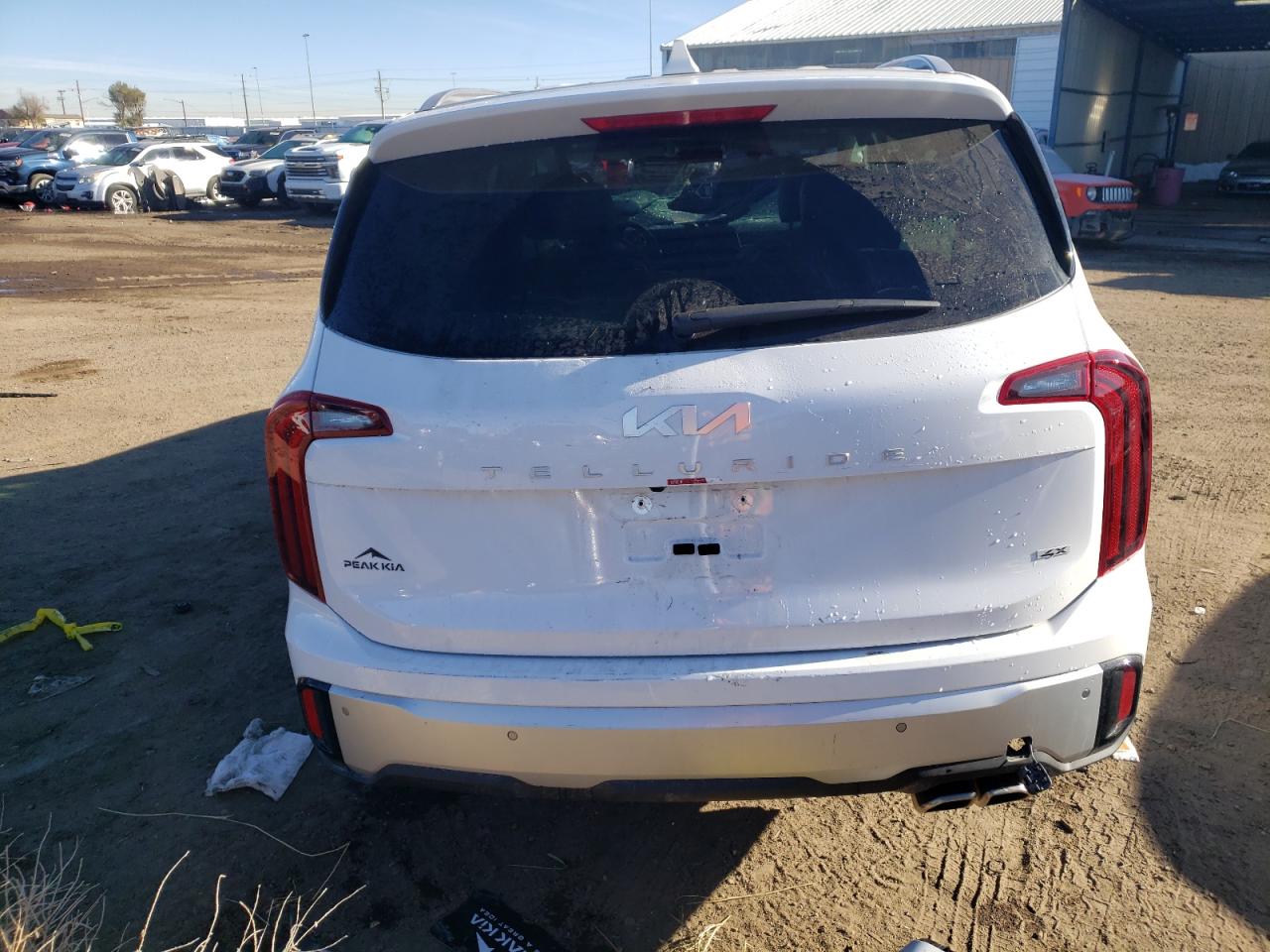 2024 KIA Telluride VIN 5XYP6DGCXRG558286 Copart auction photo, all over damage thumbnail 6