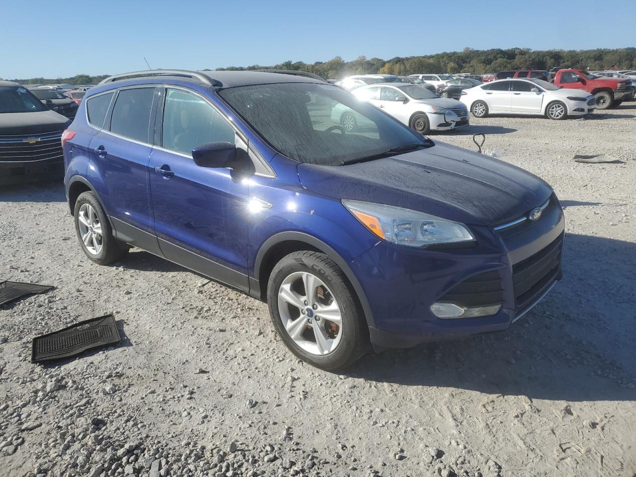 2014 Ford Escape VIN 1FMCU9GX7EUB00732 Copart auction photo, hail damage thumbnail 4