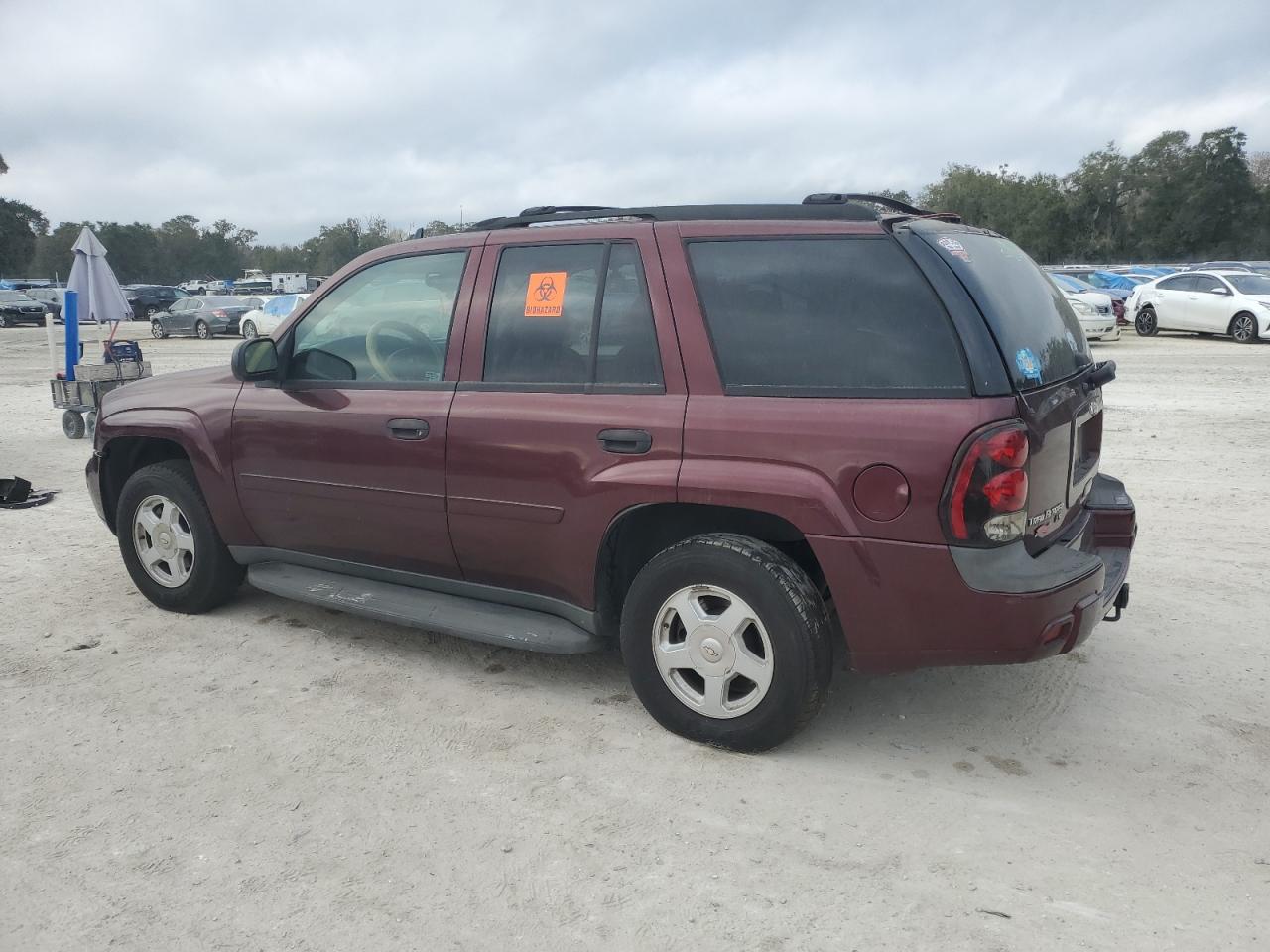 2007 Chevrolet TrailBlazer VIN 1GNDS13S972171950 Copart auction photo, all over damage thumbnail 2