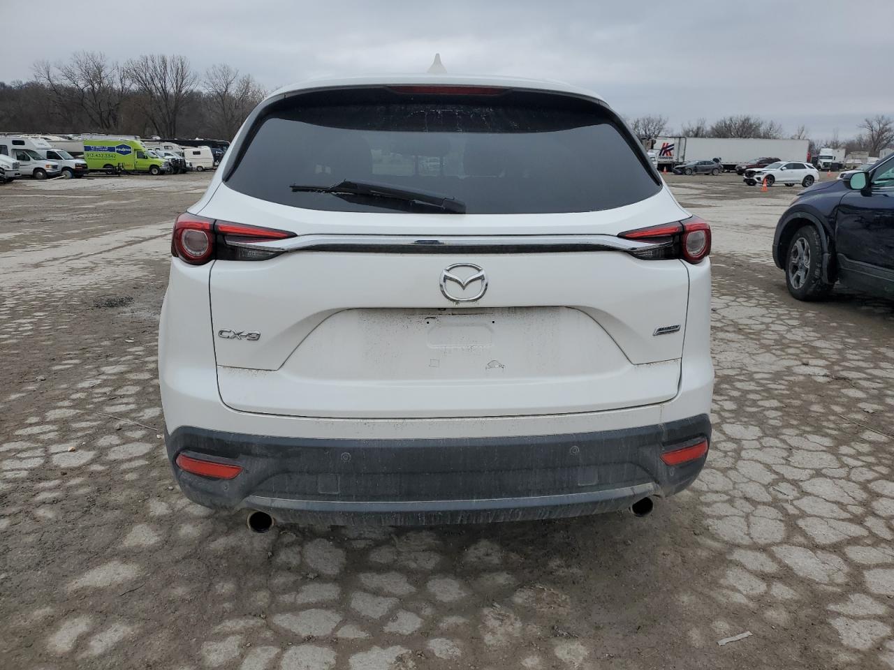2016 Mazda CX-9 VIN JM3TCACY7G0120326 Copart auction photo, all over / minor dent/scratches damage thumbnail 6