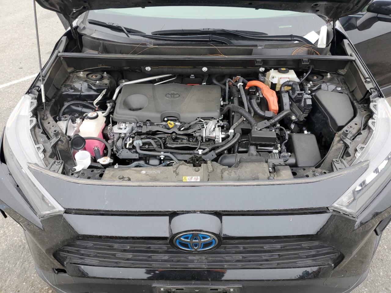 2019 Toyota RAV 4 VIN JTMMWRFV7KD013671 Copart auction photo, side damage thumbnail 13