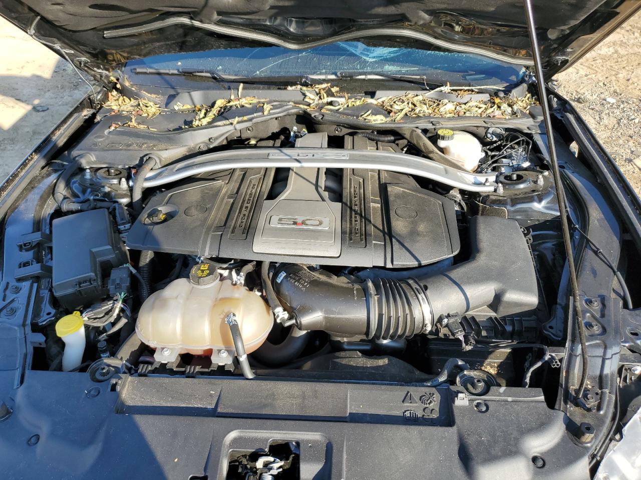 2019 Ford Mustang VIN 1FA6P8CF0K5203812 Copart auction photo, water/flood damage thumbnail 11