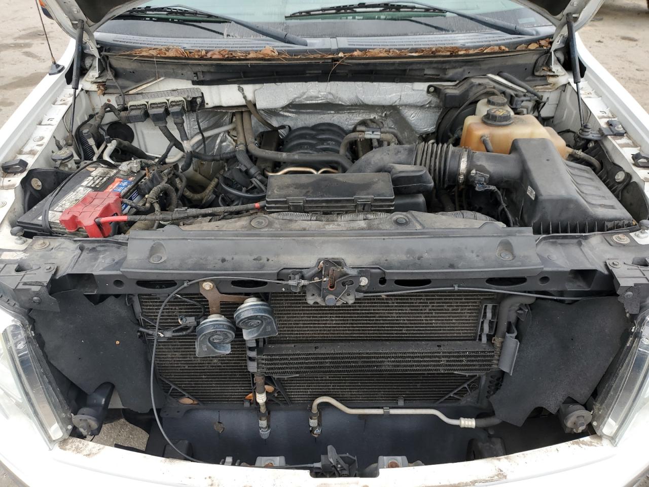2013 Ford F-150 VIN 1FTFW1EF4DFA69076 Copart auction photo, rear end damage thumbnail 11