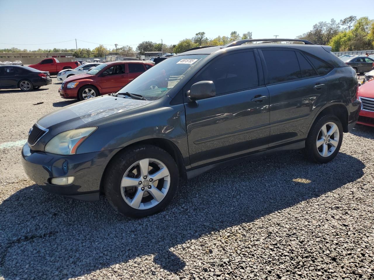 2004 Lexus RX VIN JTJHA31U040023820