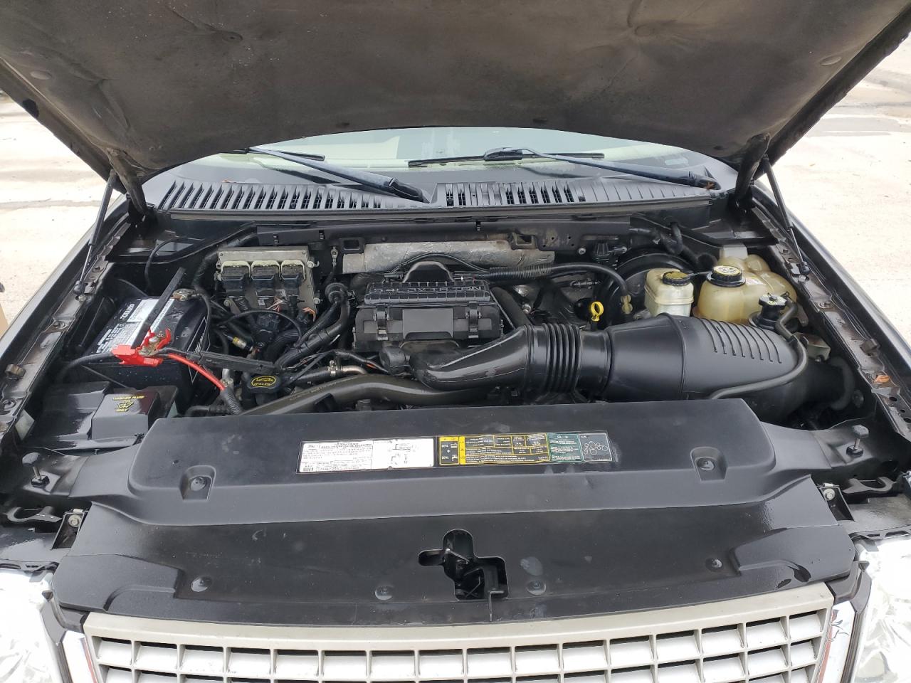 2006 Ford Expedition VIN 1FMPU17586LA75297 Copart auction photo, hail / side damage thumbnail 12