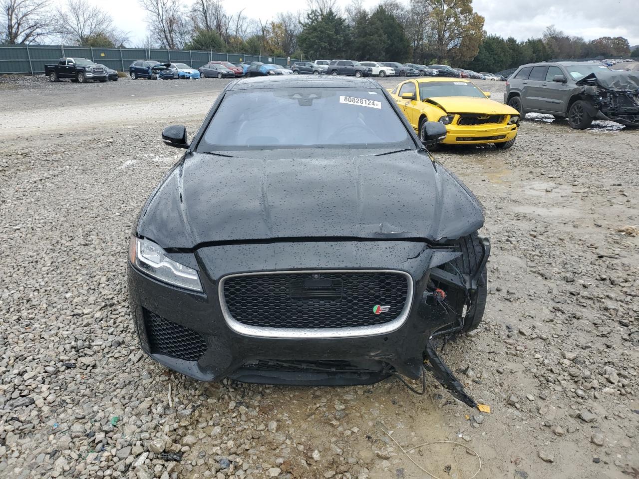 2016 Jaguar XF VIN SAJBM4BV0GCY00336 Copart auction photo, front end damage thumbnail 5
