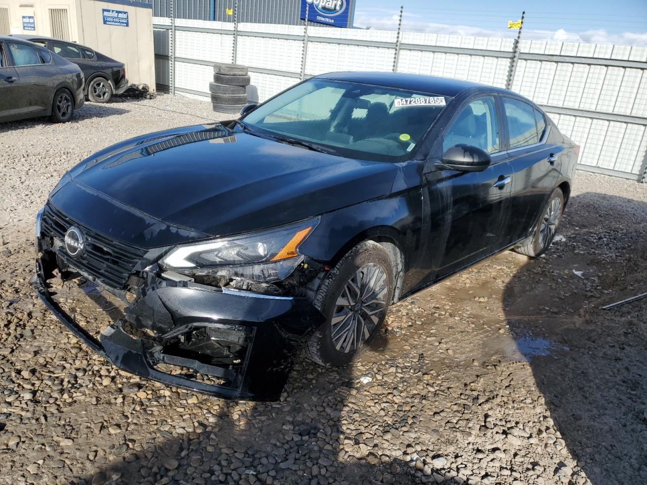 2024 Nissan Altima VIN 1N4BL4DV1RN348795
