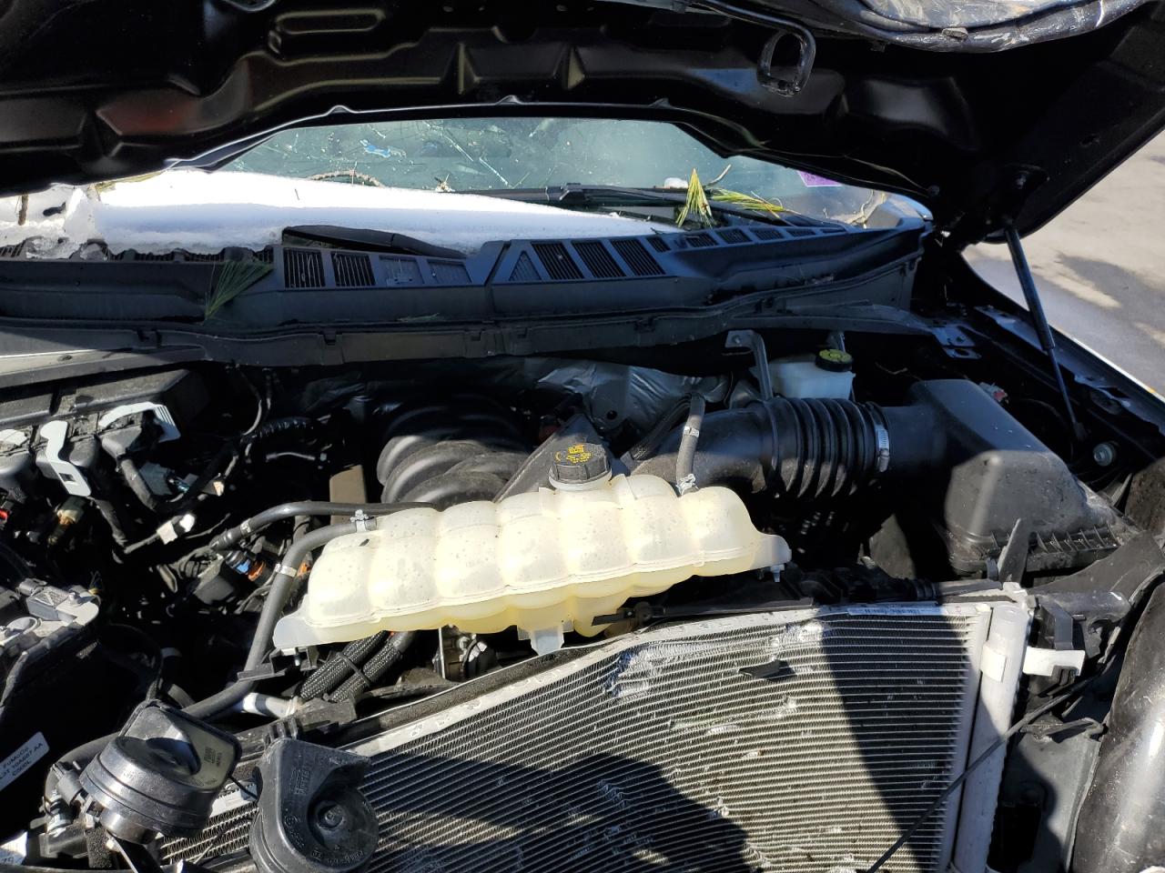 2023 Ford F-150 VIN 1FTFW1E54PKF02995 Copart auction photo, front end damage thumbnail 11