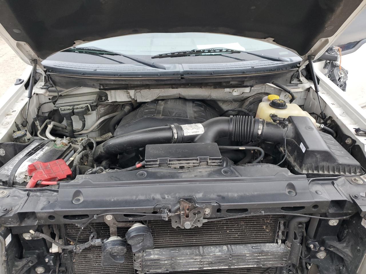2014 Ford F-150 VIN 1FTFW1CT2EFB07009 Copart auction photo, rollover damage thumbnail 12