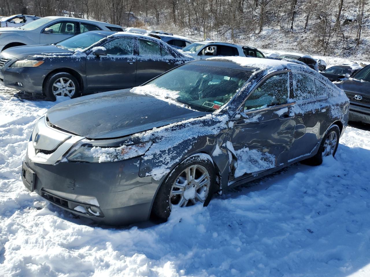 2009 Acura TL VIN 19UUA86259A001904