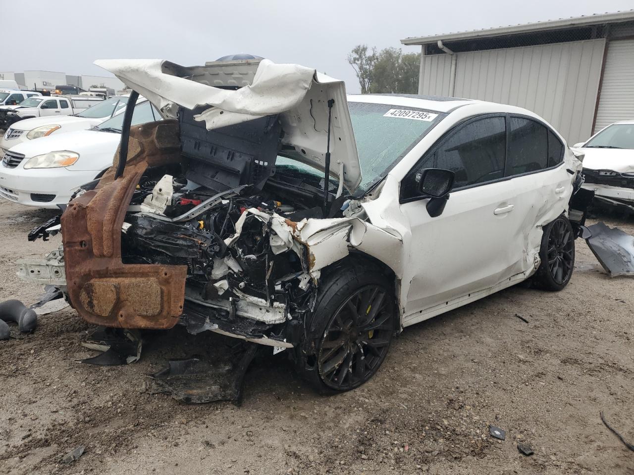 2019 Subaru WRX VIN JF1VA2V64K9811008