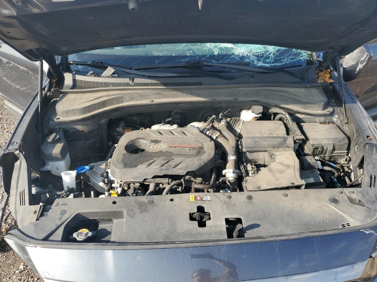 2020 Hyundai Santa Fe VIN 5NMS53AA0LH216003 Copart auction photo, all over damage thumbnail 12