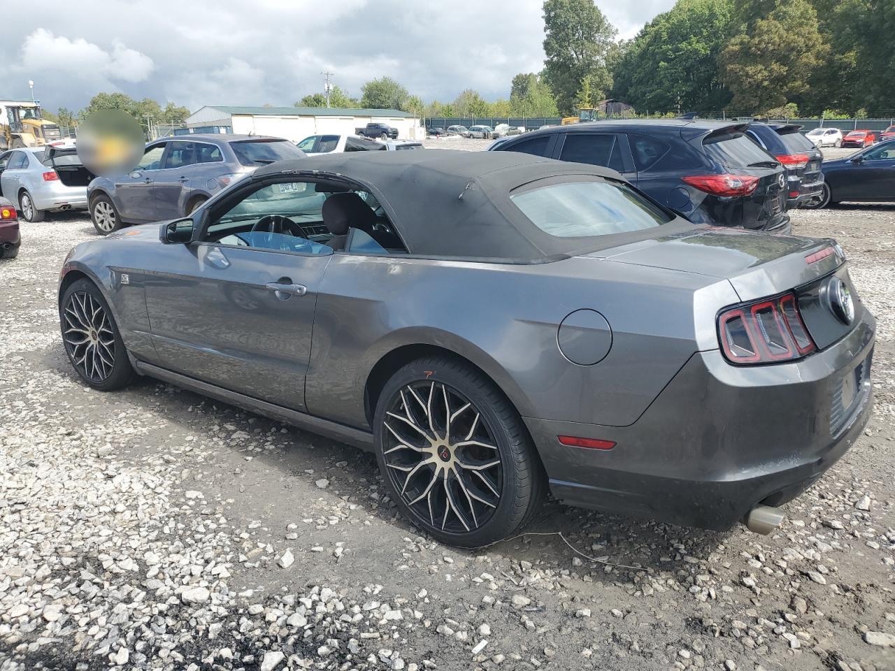 2013 Ford Mustang VIN 1ZVBP8EM5D5229925 Copart auction photo, vandalism / side damage thumbnail 2