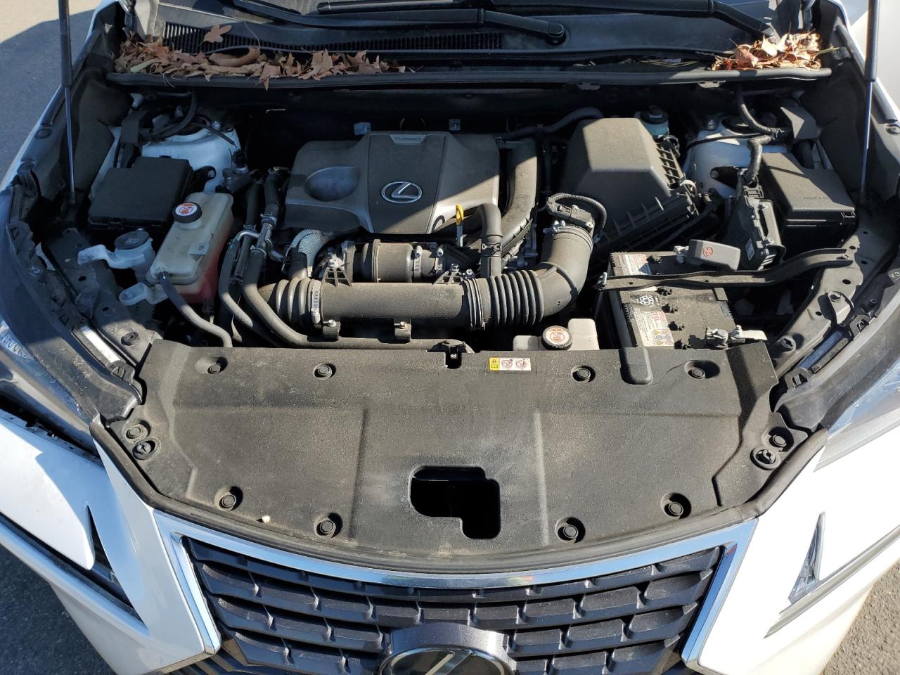 2020 Lexus NX VIN JTJGARDZ3L2218206 Copart auction photo, front end / minor dent/scratches damage thumbnail 13