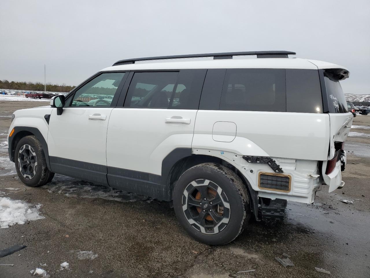 2024 Hyundai Santa Fe VIN 5NMP2DGL4RH006199 Copart auction photo, rear end / minor dent/scratches damage thumbnail 2