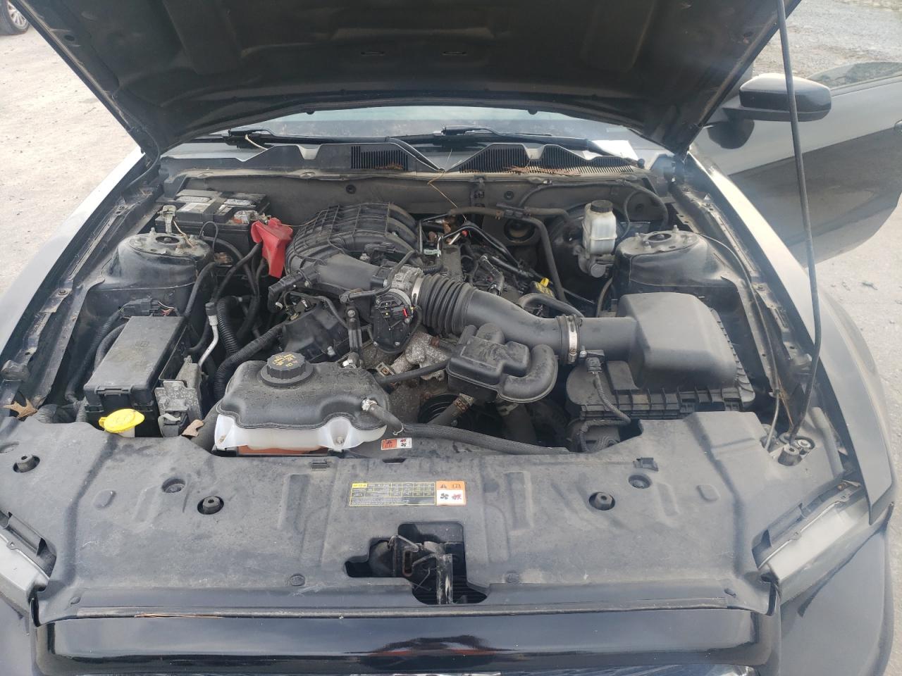 2013 Ford Mustang VIN 1ZVBP8AMXD5255927 Copart auction photo, rear end damage thumbnail 11