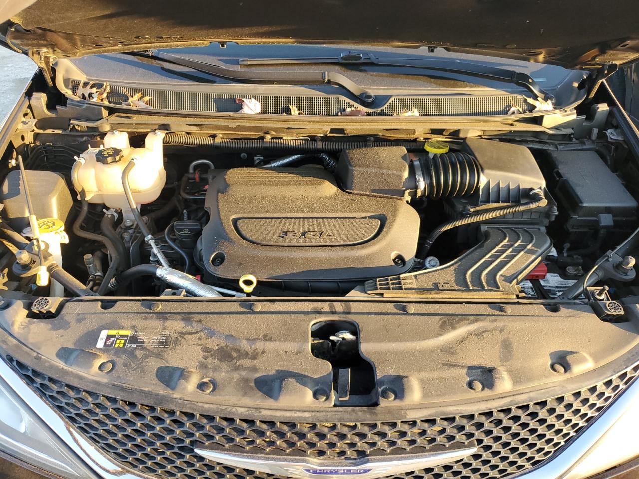 2019 Chrysler Pacifica VIN 2C4RC1BG9KR721411 Copart auction photo, hail damage thumbnail 12