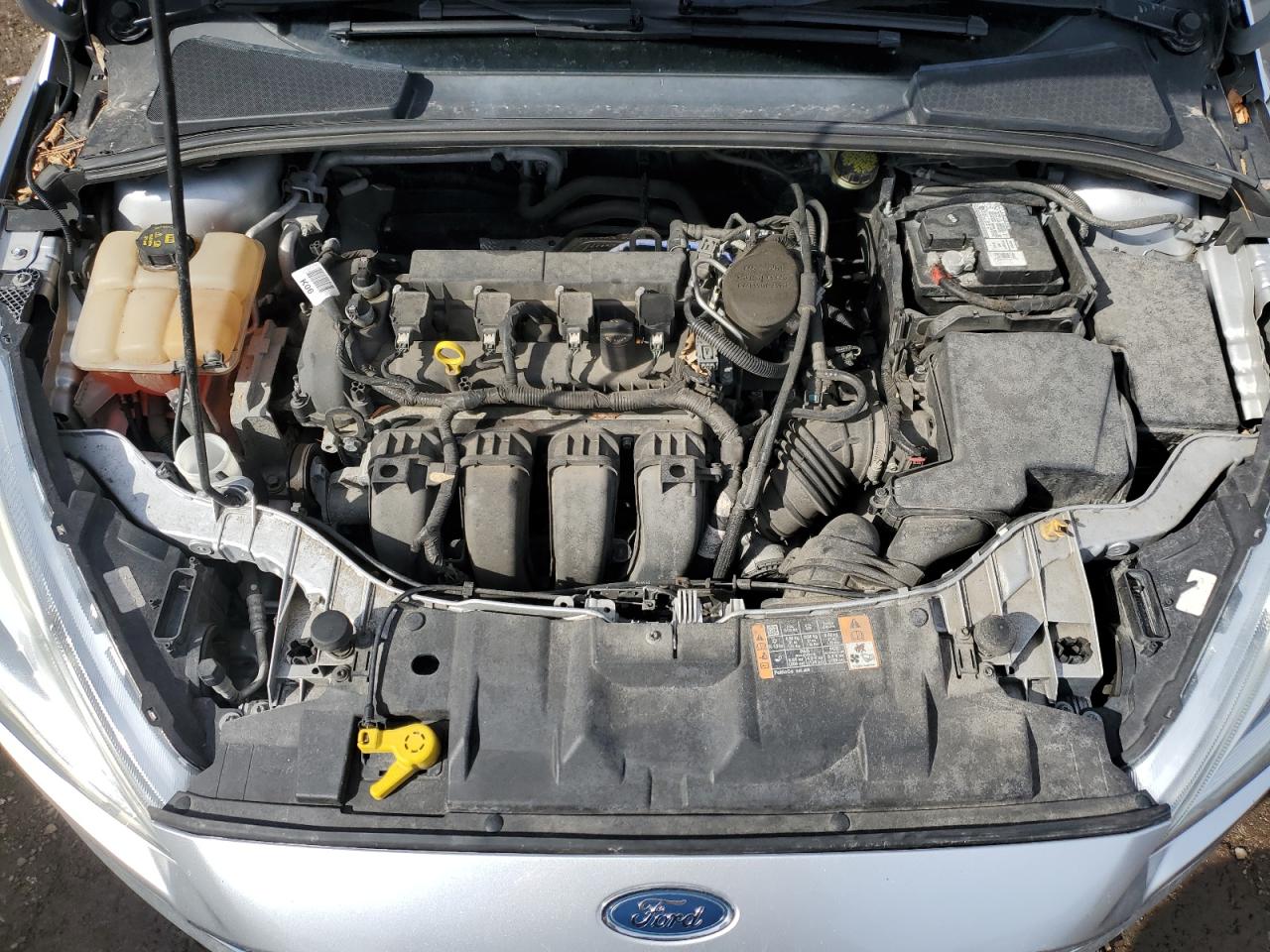 2016 Ford Focus VIN 1FADP3N2XGL258078 Copart auction photo, side damage thumbnail 11