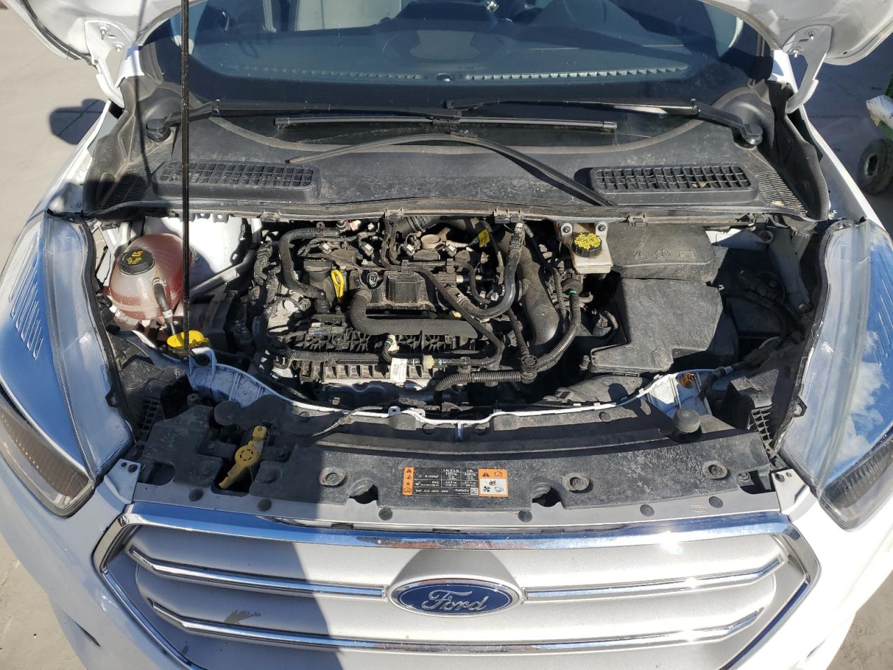 2019 Ford Escape VIN 1FMCU9GD0KUB39180 Copart auction photo, side damage thumbnail 11