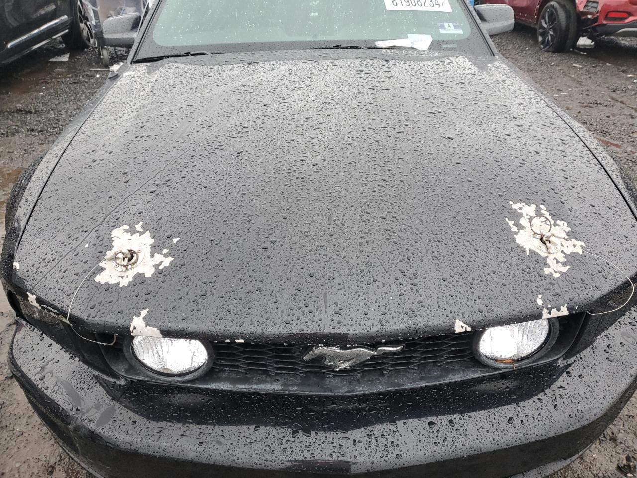 2006 Ford Mustang VIN 1ZVFT82H765254266 Copart auction photo, side / rear end damage thumbnail 11