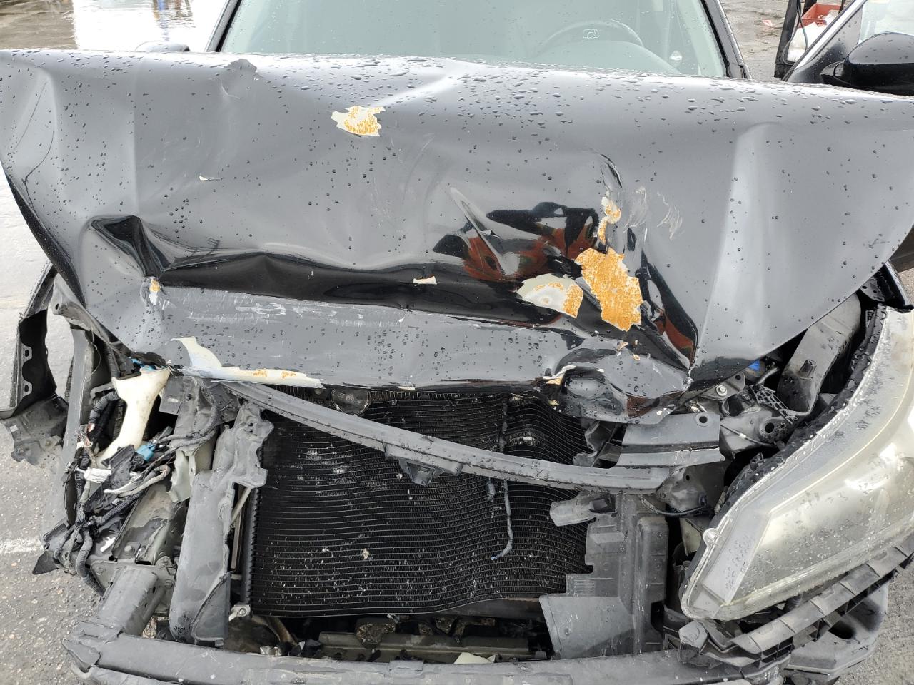 2013 Honda Accord VIN 1HGCR2F52DA247328 Copart auction photo, front end damage thumbnail 11