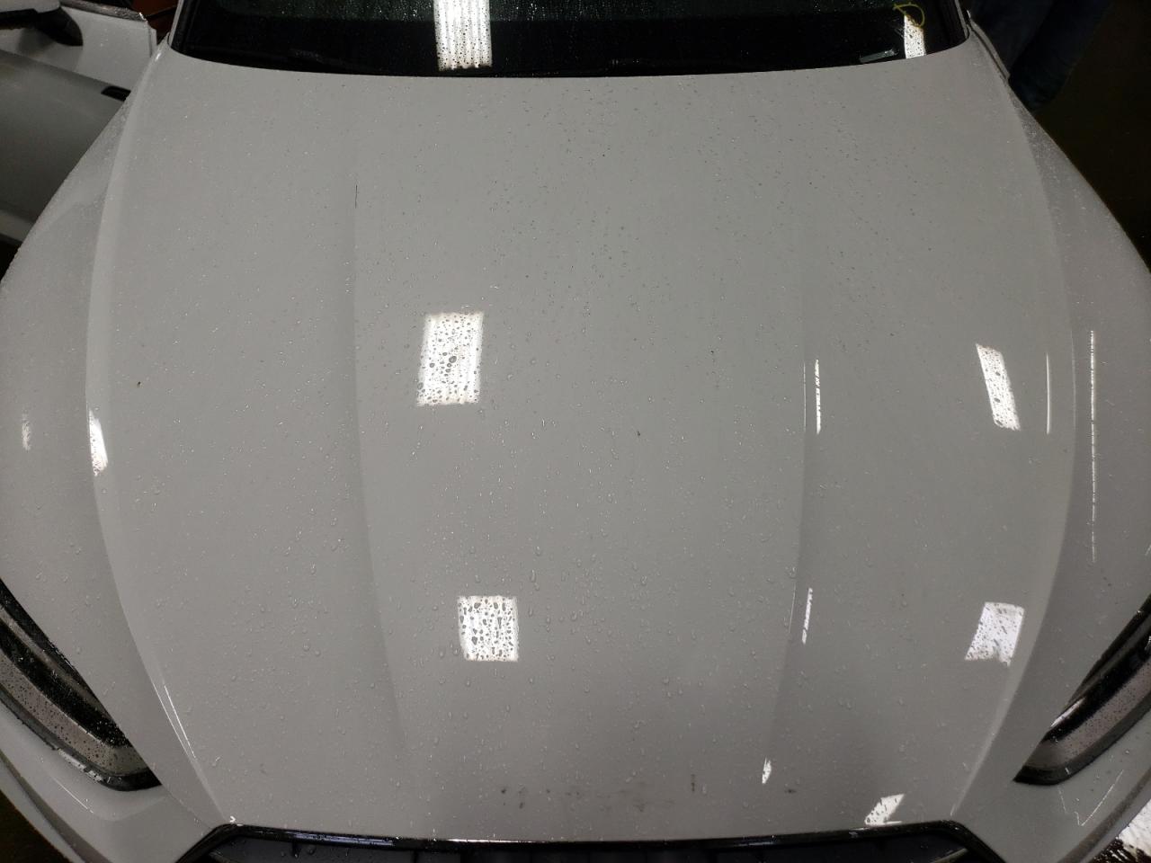 2019 Audi A5 VIN WAUTNAF54KA038591 Copart auction photo, side damage thumbnail 11