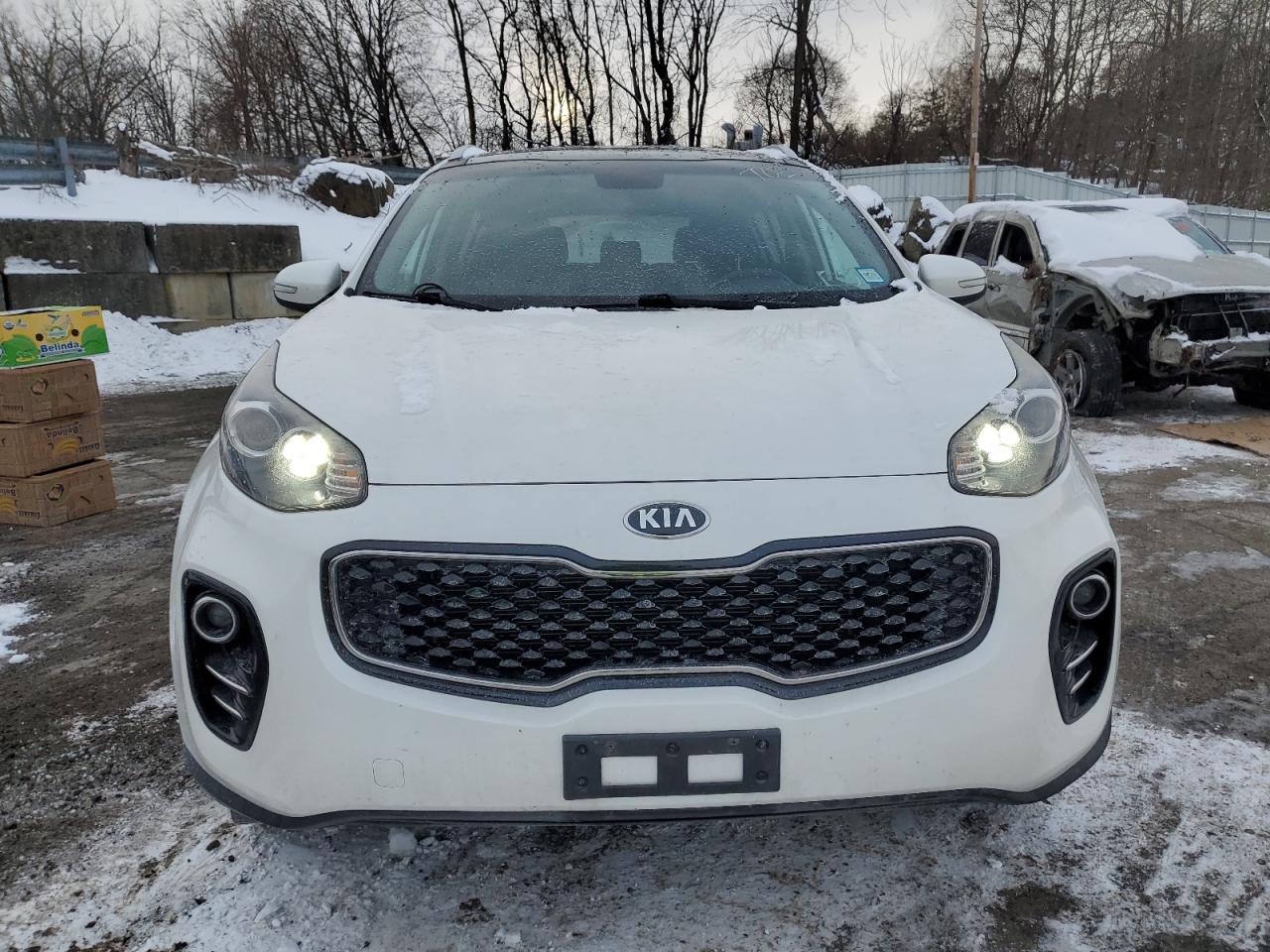 2017 KIA Sportage VIN KNDPNCAC0H7235964 Copart auction photo, rear end / minor dent/scratches damage thumbnail 5