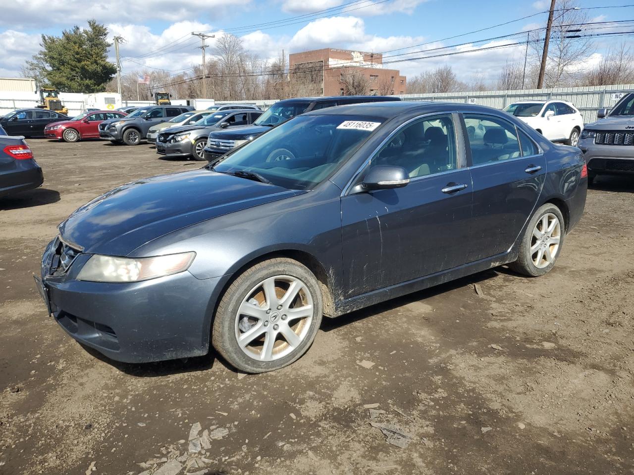 2004 Acura TSX VIN JH4CL96844C020843 - Copart auction photo