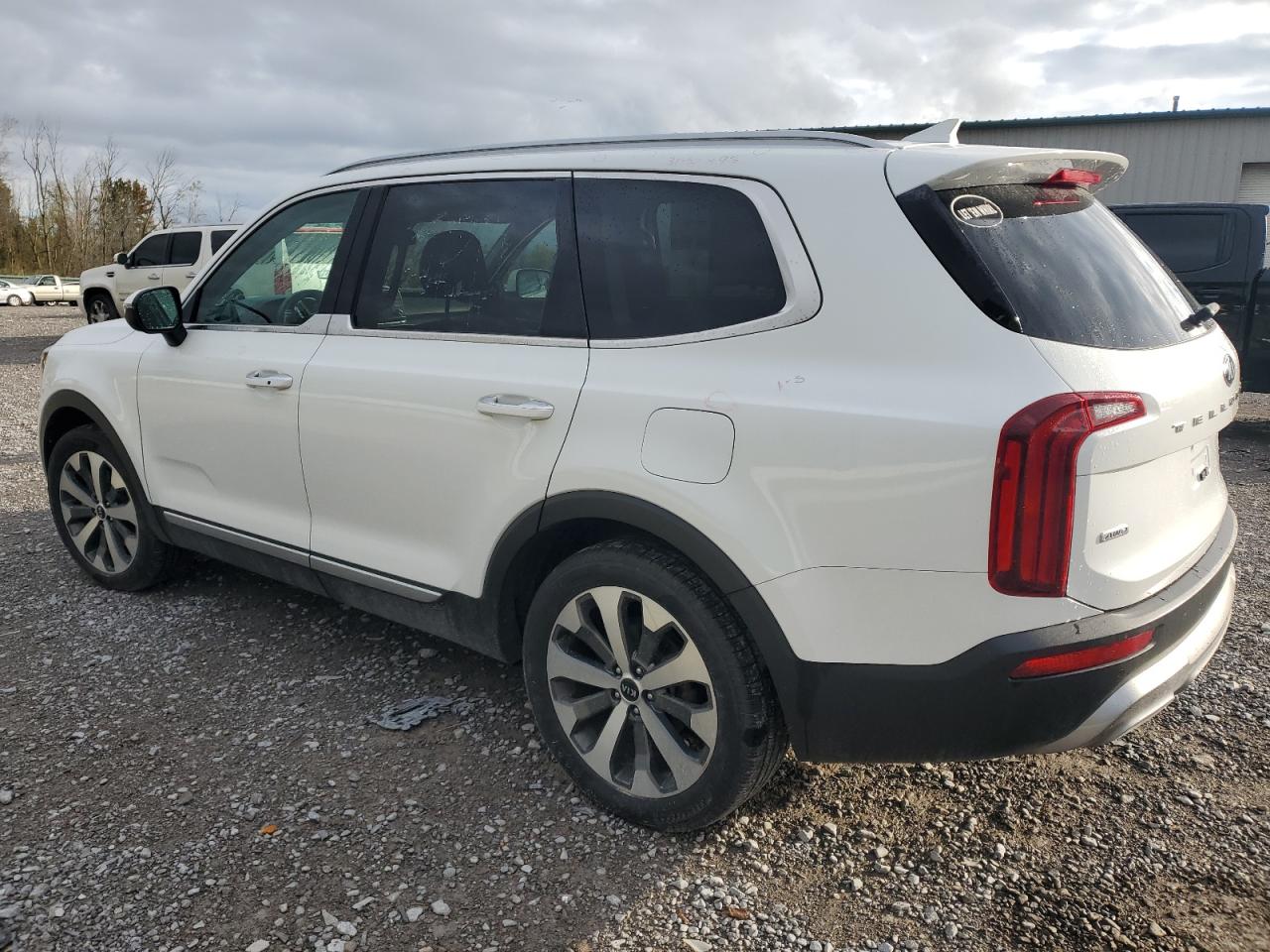 2020 KIA Telluride VIN 5XYP6DHC1LG004043 Copart auction photo, hail damage thumbnail 2