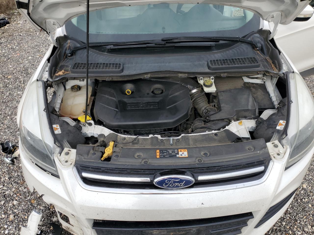 2014 Ford Escape VIN 1FMCU0J96EUA52338 Copart auction photo, front end / minor dent/scratches damage thumbnail 12