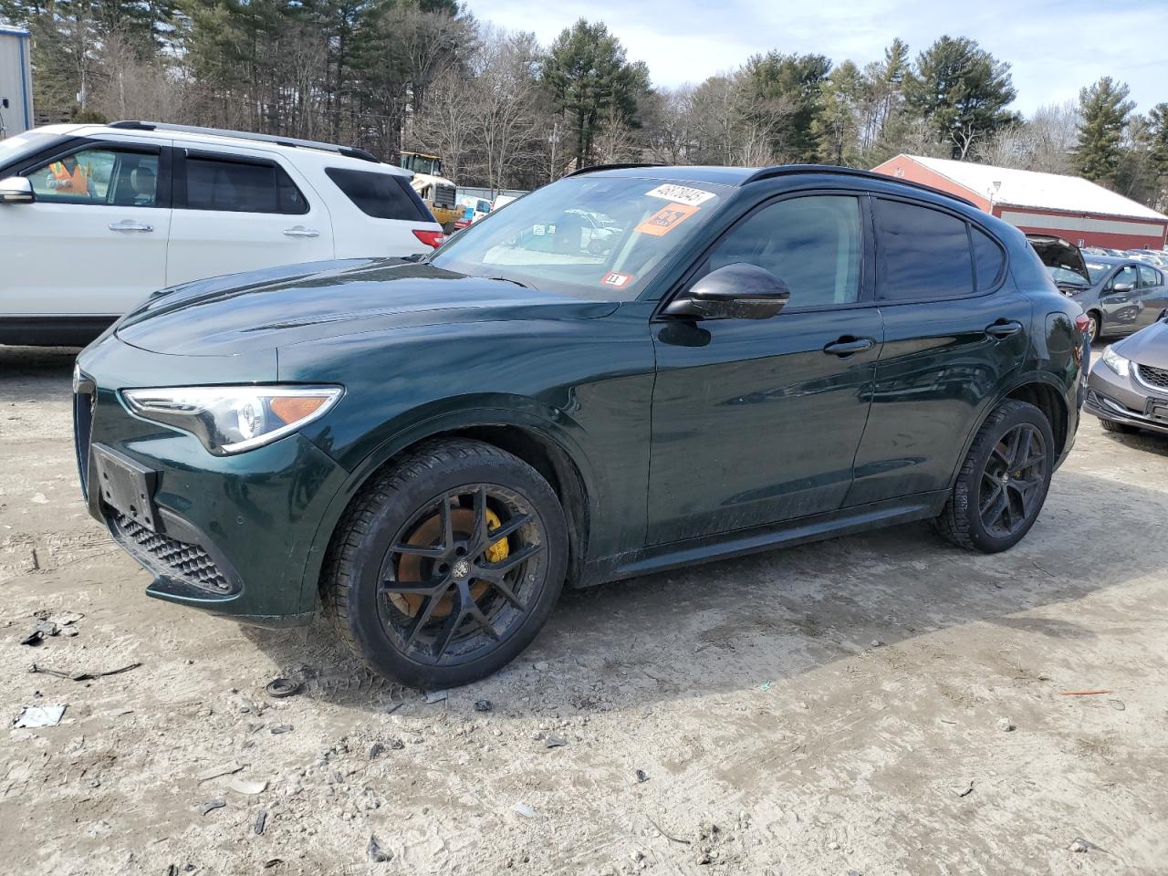 2021 Alfa Romeo Stelvio VIN ZASPAKBNXM7D17157 - Copart auction photo