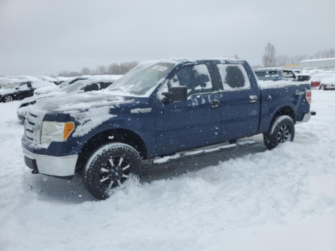 2010 Ford F-150 VIN 1FTEW1E8XAFD28534